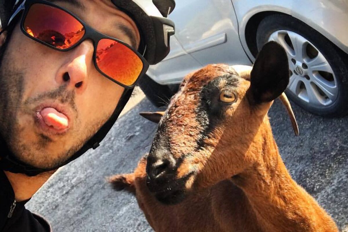 meeting your perfect match - cyclist & goat